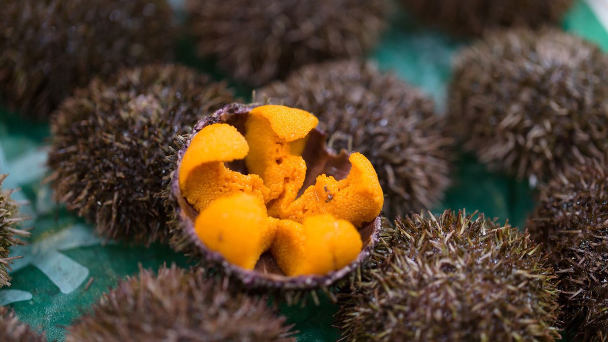 Enjoying sea flavour in Khanh Hoa – Urchins