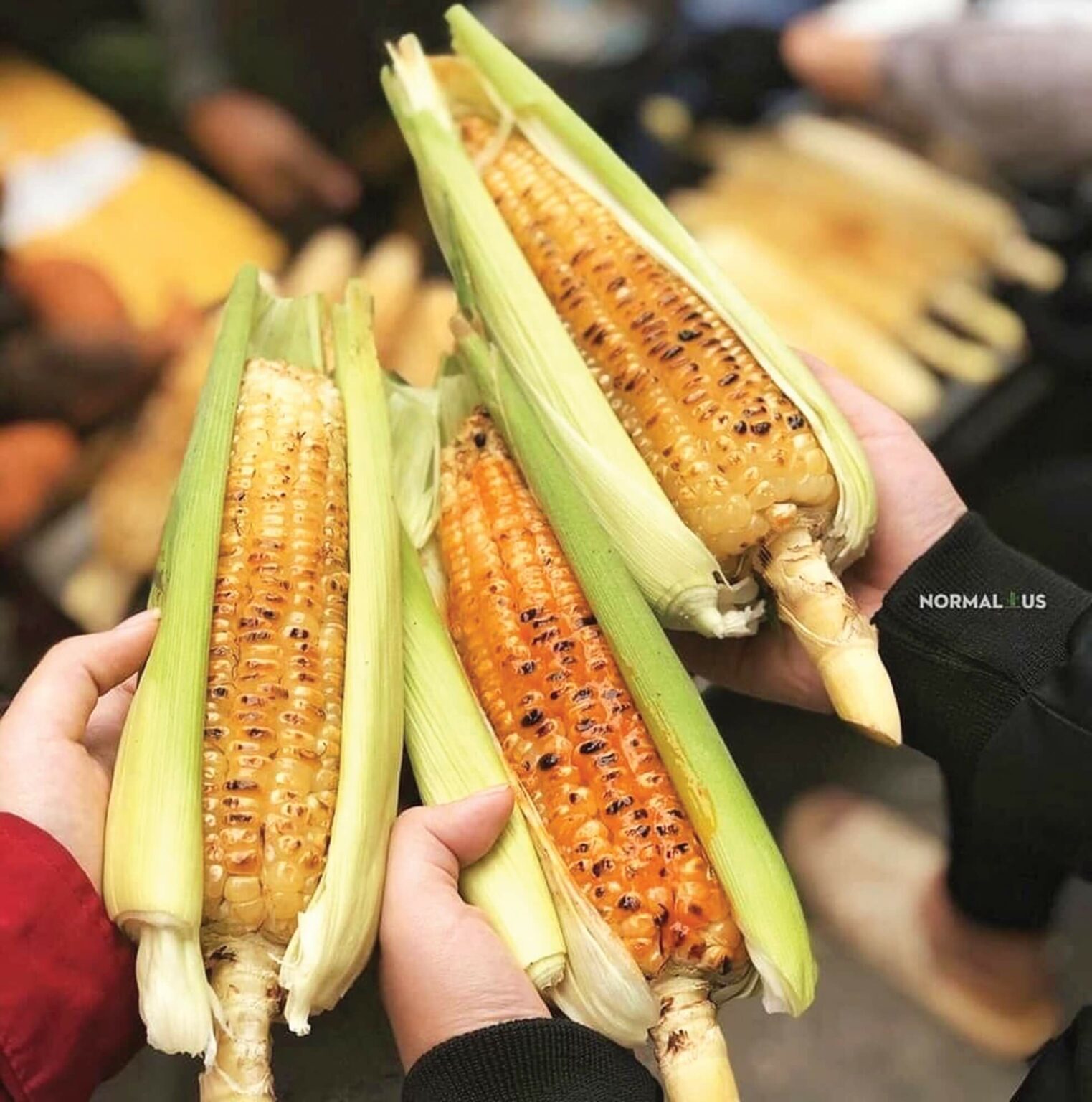 A winter snack of Hanoians – Grilled Corn